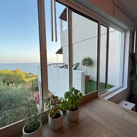 Apartment And Ivan Dolac