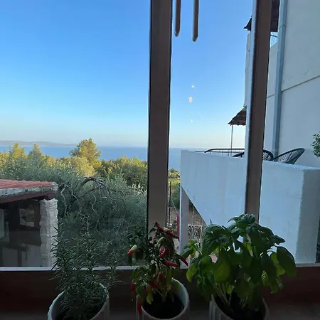 Apartment And Ivan Dolac